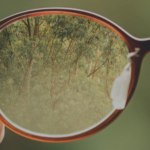 Sistemas motivacionales